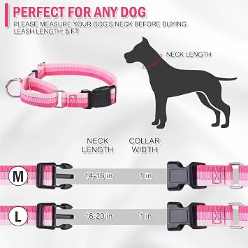 Martingale Dog Collar and Leash Set for Walking, Playing, Training, Reflective Adjustable Puppy Collars with Leash for Small Medium Large Dogs (Pink,Large)