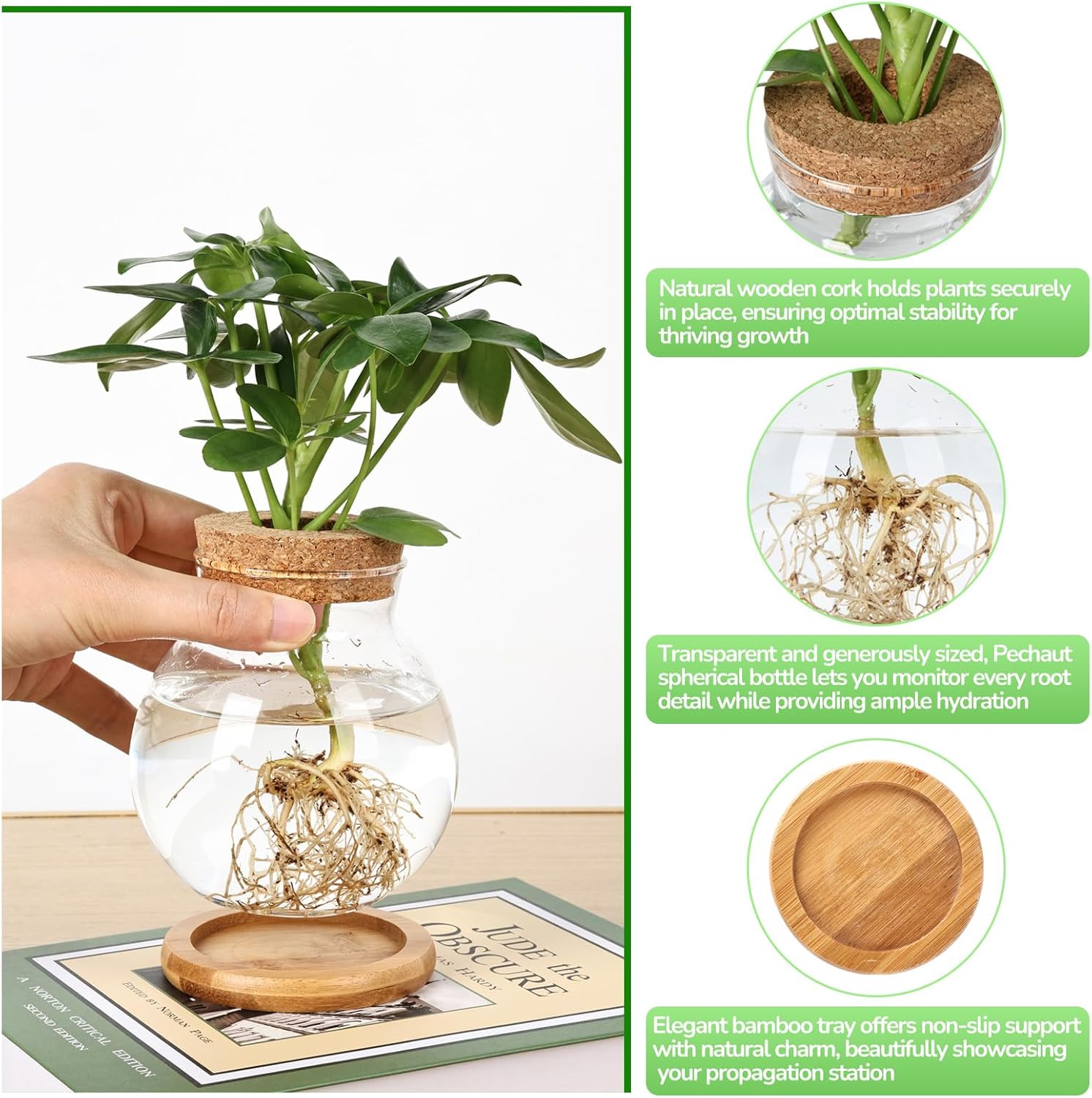 Propagation Station, Larger Capacity Ball Vase with Base for Hydroponic Plants, Home/Office Decor & Gift for Plant Lovers, 2pcs Glass Terrariums - Image 3