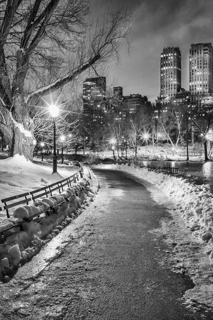 New York City Central Park Wintery Path B&W Photo