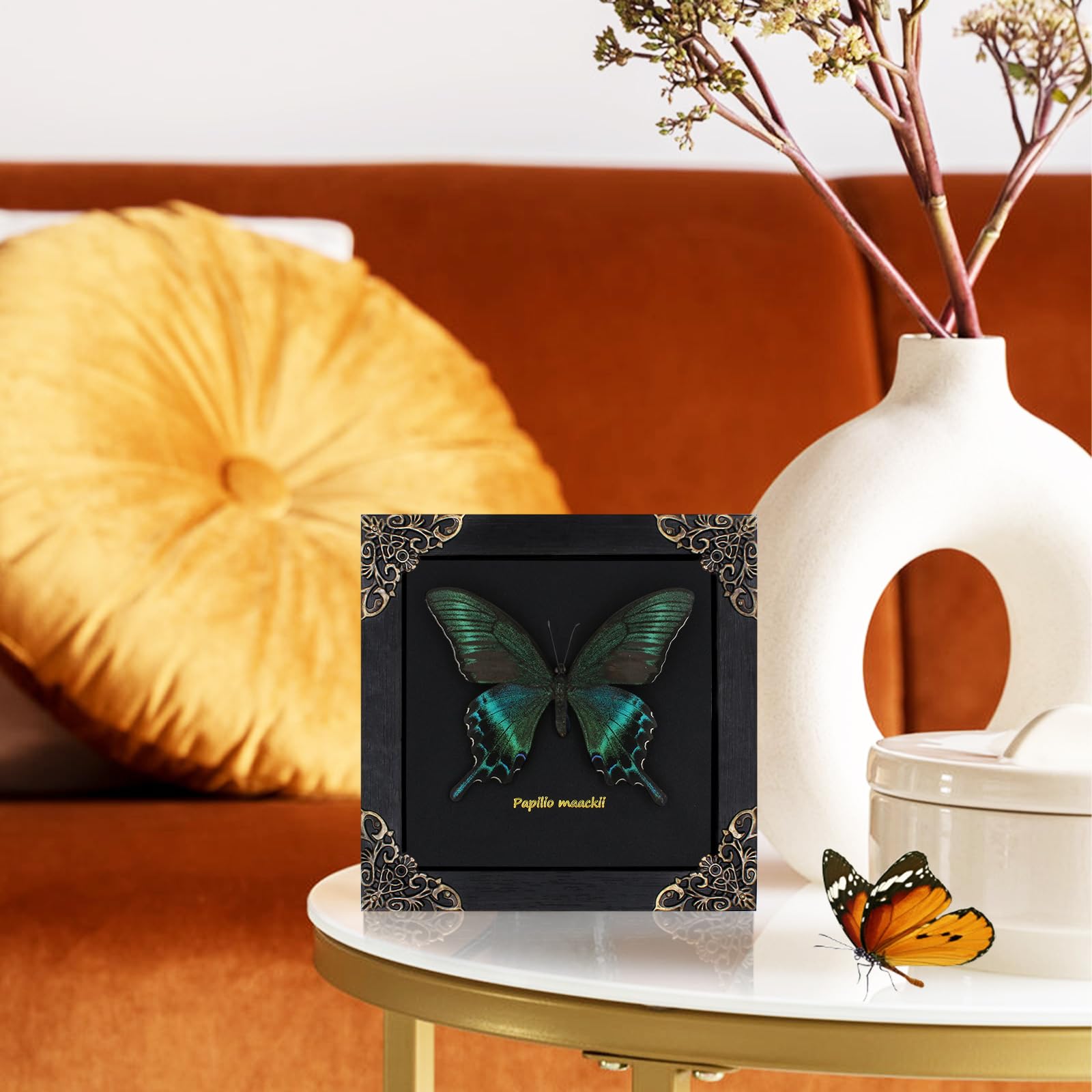 Butterfly Framed Decoration Handmade Taxidermy Butterfly Shadow Box Collection Framed Butterfly for Oddities and Curiosities Gifts for Victorian Dark Academia Goth Wall Decor