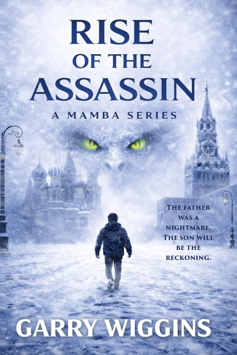RISE OF THE ASSASSINS: A MAMBA SERIES