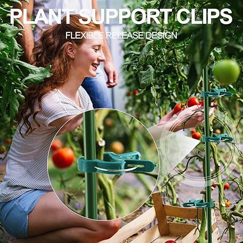 Miniatura 3 de 40 clips de soporte para plantas, flores y vid, clips de soporte para plantas de tomate de jardín para apoyar tallos, enredaderas crecen