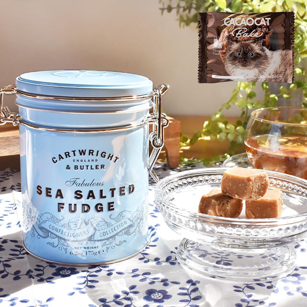 カートライトアンドバトラー ファッジ トフィー 缶入り お菓子缶 缶 イギリス キャラメル キャニスター 海外 可愛い ギフト DADACAのクッキーつき (塩キャラメルファッジ)