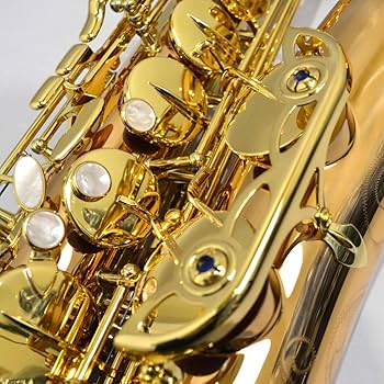 Amazon.co.jp: YANAGISAWA T-WO20 テナーサックス ブロンズ