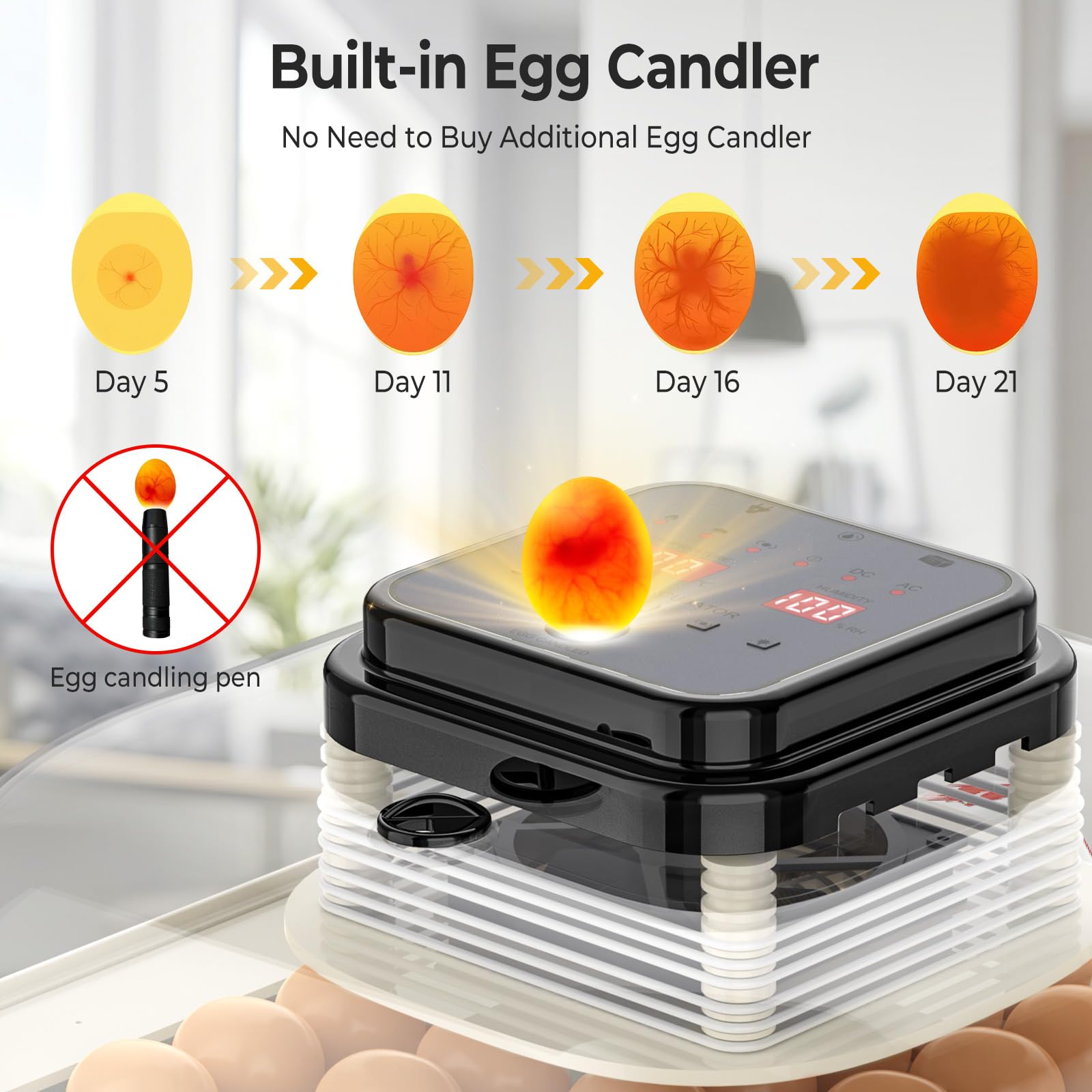 Incubadora Huevos Gallina, Encubadora Huevos 35 Capacidad con Control Preciso de Temperatura y Humedad, Chocadeira De Ovos para Principiantes y Educación