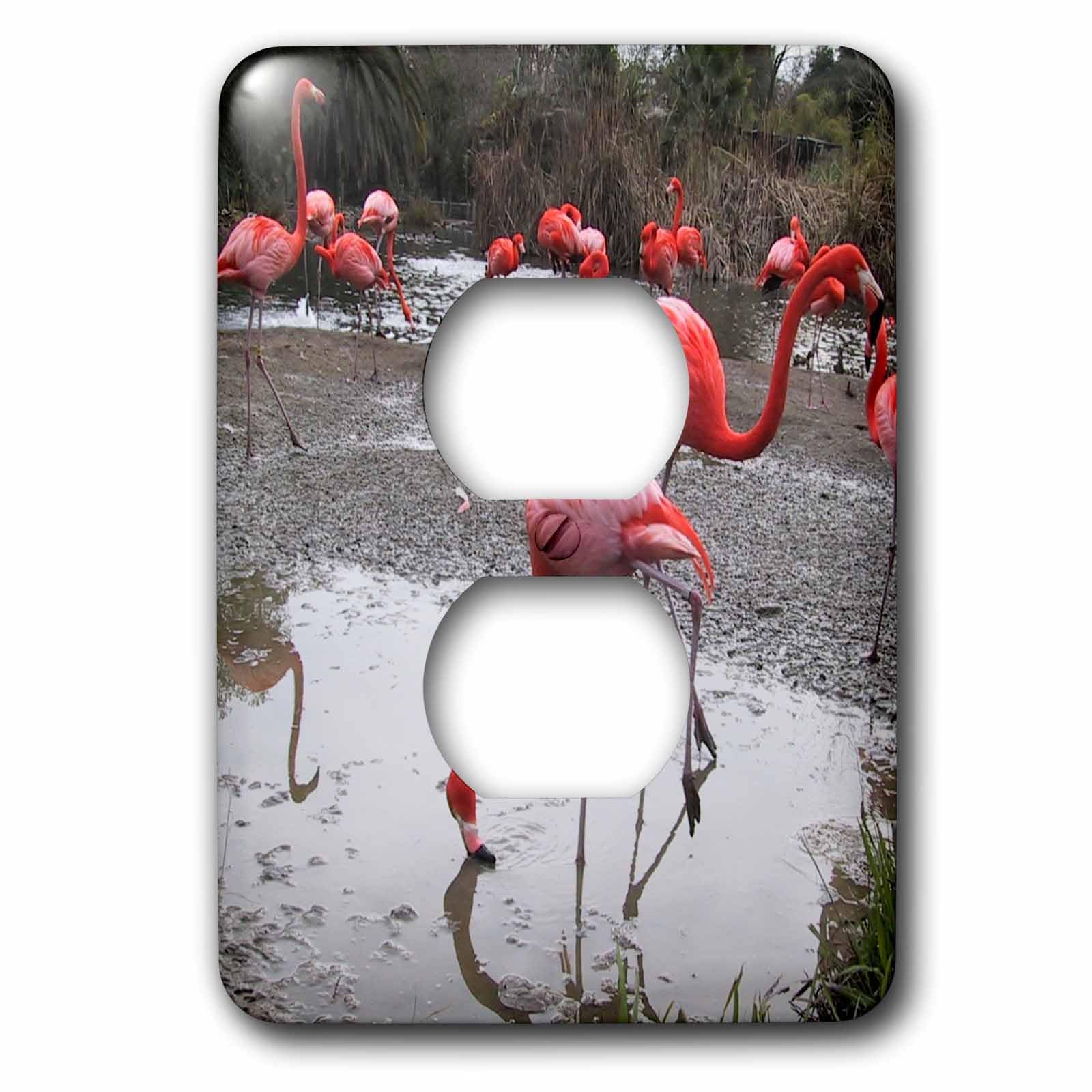 Cache de prise 2 flamants roses 3dRose lsp_25783_6 plaque murale déco
