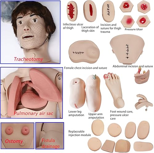 Miniatura 2 de Maniquí de enfermería de 5.74 pies para el cuidado del paciente, maniquí médico para entrenamiento, multifuncional masculino-femenino, modelo de