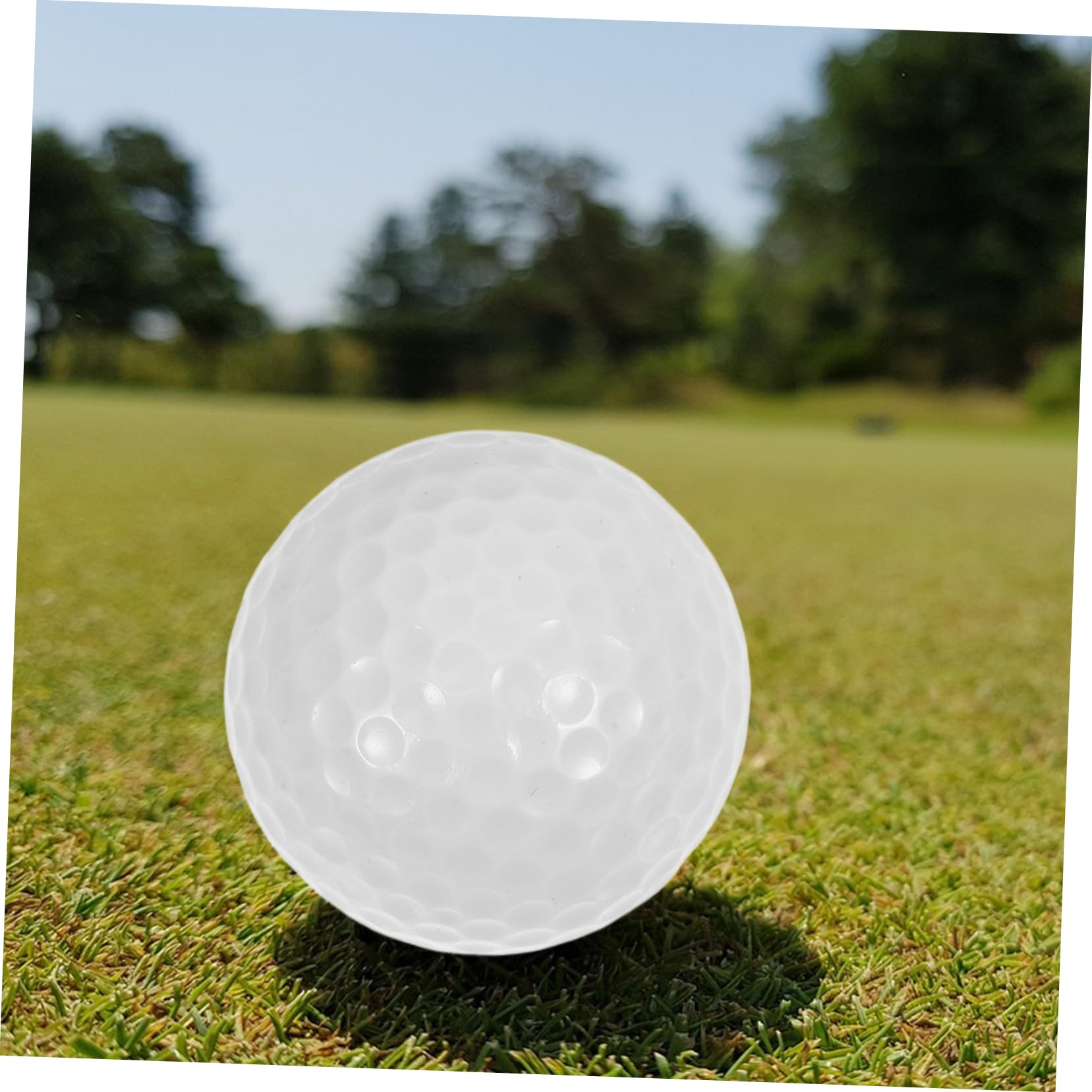 10 Piezas de Práctica de Golf de Doble Unidades Ligeras y Duraderas para Interior para Principiantes y Entrenamiento de Putting