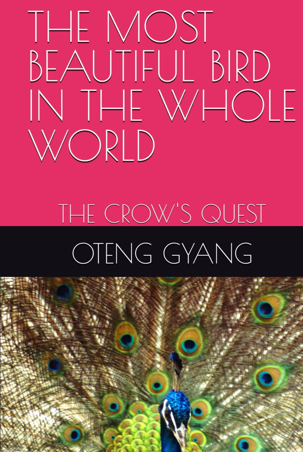 THE MOST BEAUTIFUL BIRD IN THE WHOLE WORLD: THE CROW'S QUEST