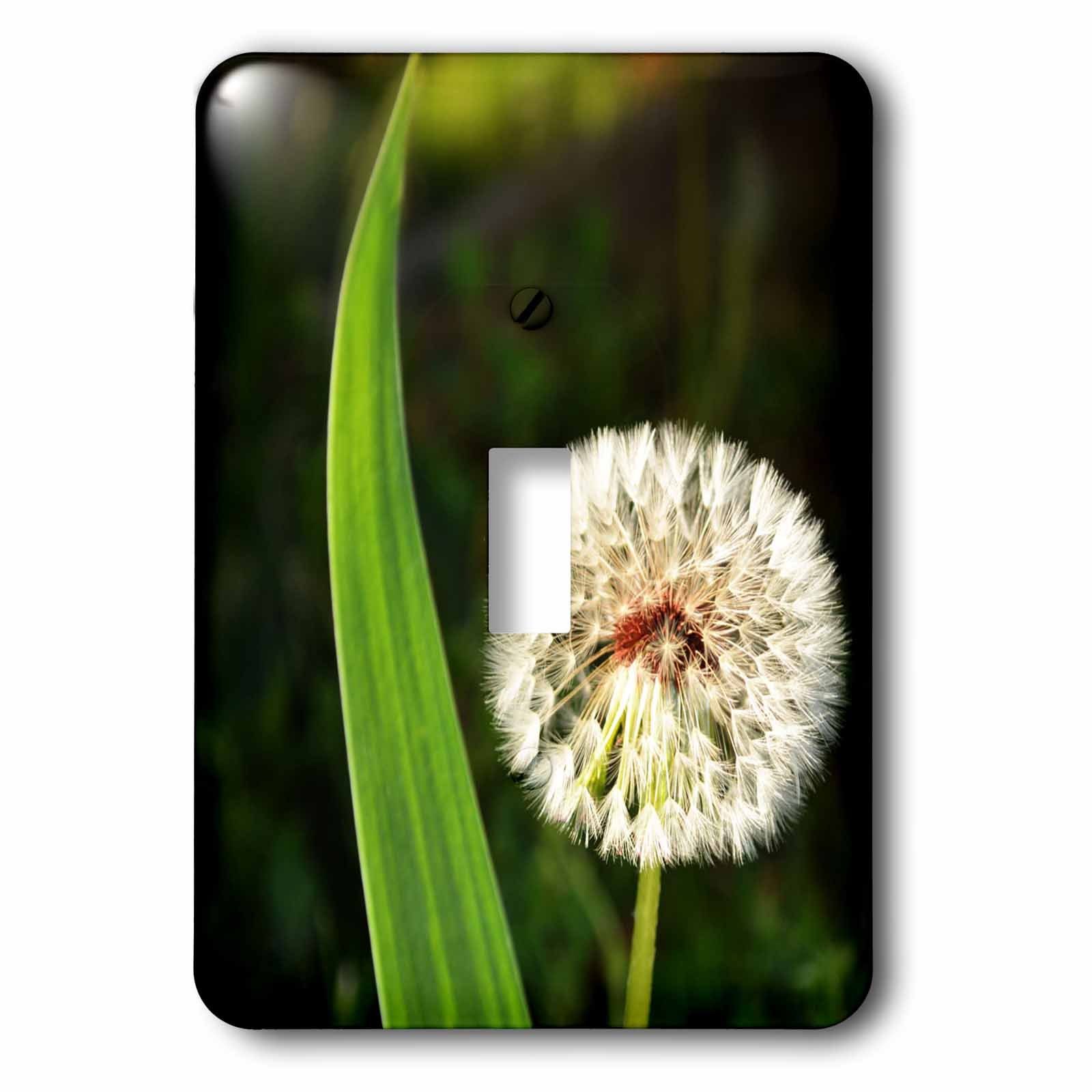 Interrupteur pissenlit 3dRose lsp_252496_1 pour remplacer les plaques blanches