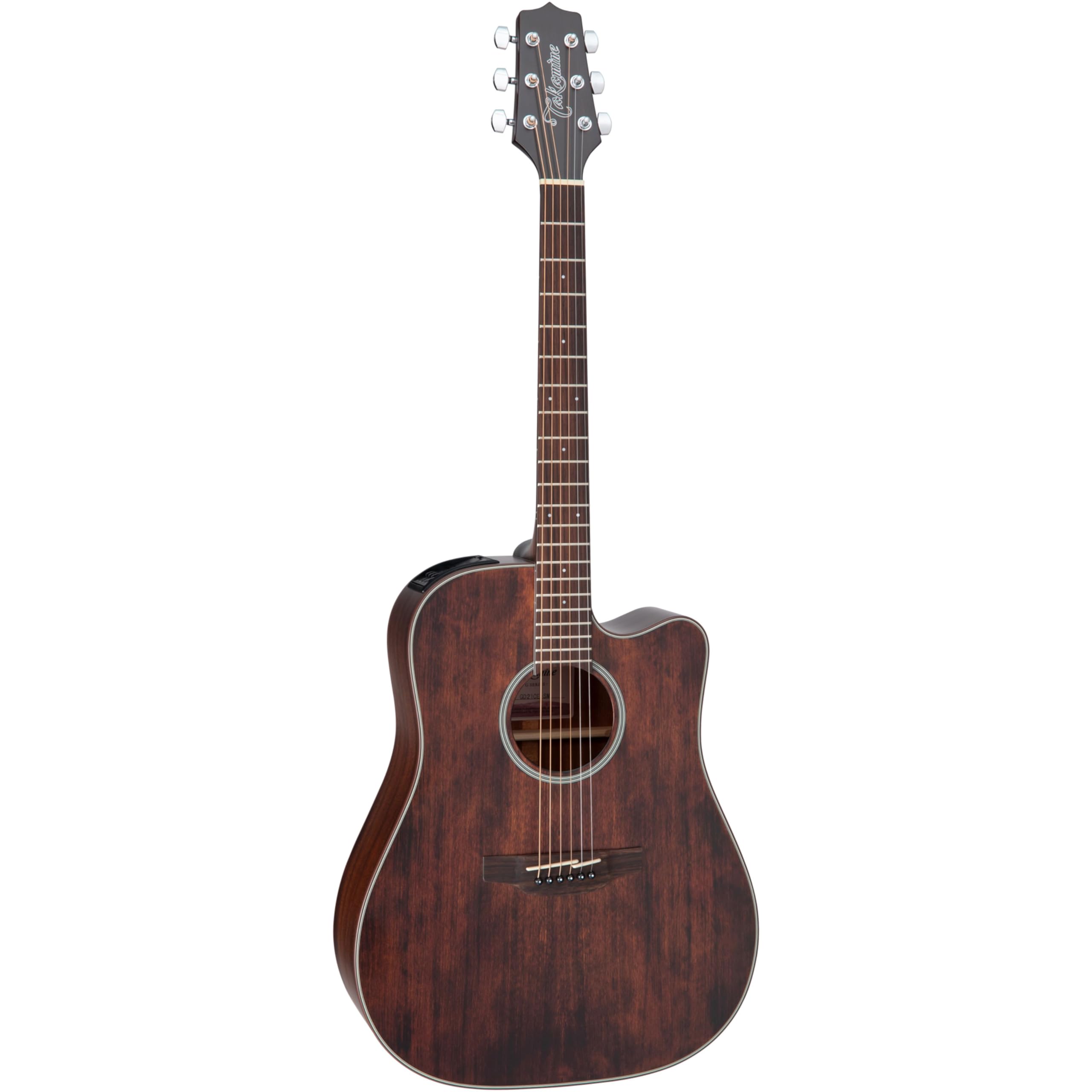 Takamine D21-WR DragonSeries アコースティックギター Takamine D21-WR DragonSeries アコースティックギター Ready Men