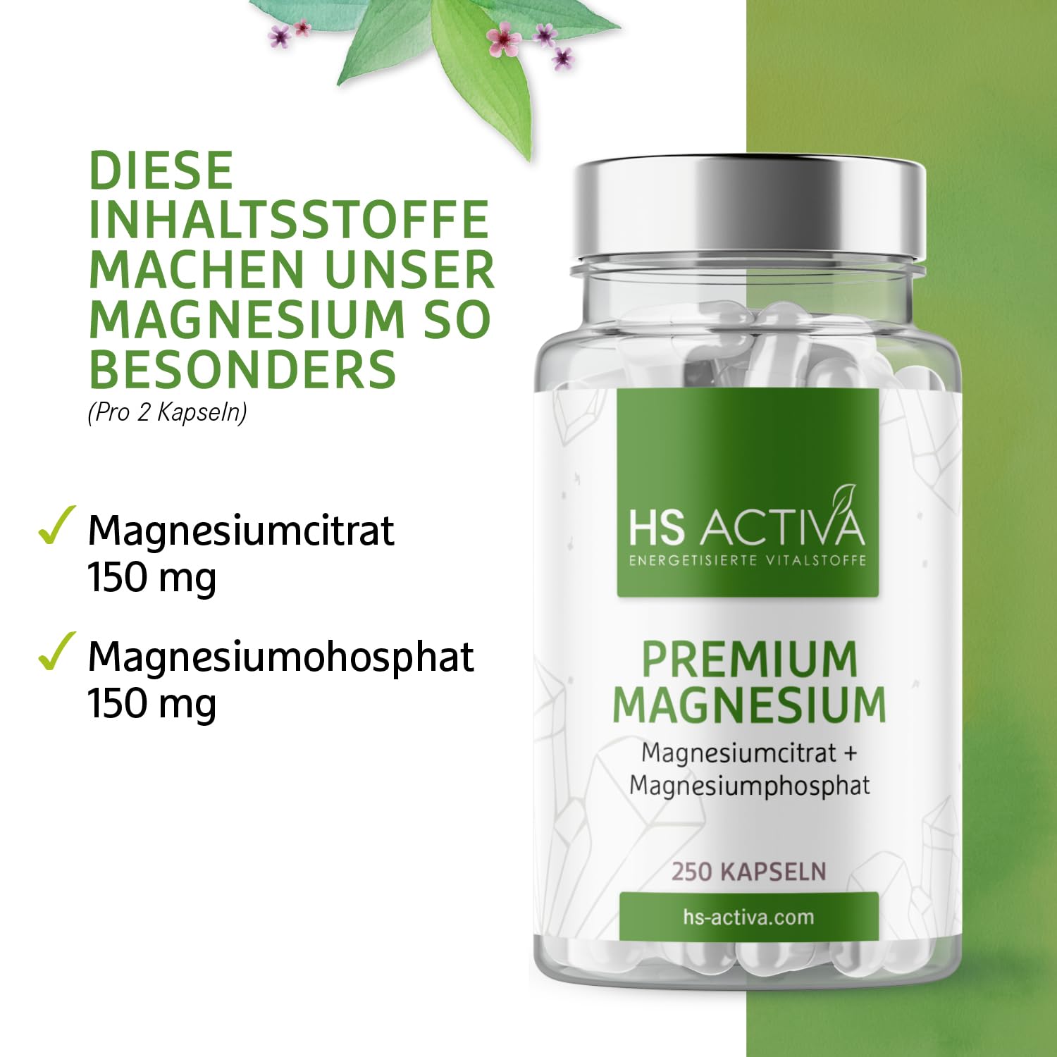 HS Activa Premium Magnesium 250 Kapseln I Magnesiumcitrat & Magnesiumohosphoricum I Keine Zusatzstoffe | Vegan & Made in Germany