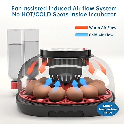 Miniatura 5 de Incubadora de huevos 12-24 con pantalla de humedad, vela de huevos, girador automático de huevos, para incubar pollos, pato, codorniz, loro