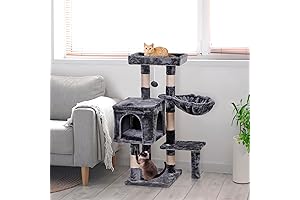 35.5 Inch Cat Tree for Indoor Cats - The Ultimate Epetlover's Paradise