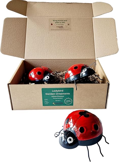Kitastik Ladybird Metal Garden Wall Art - Garden Wall Decorations Outdoor | Vibrant Outdoor Wall Ornaments for the Garden | Liven up Outdoor Wall Decor | Large Lady Bird Outdoor Wall Art (Set of 3)