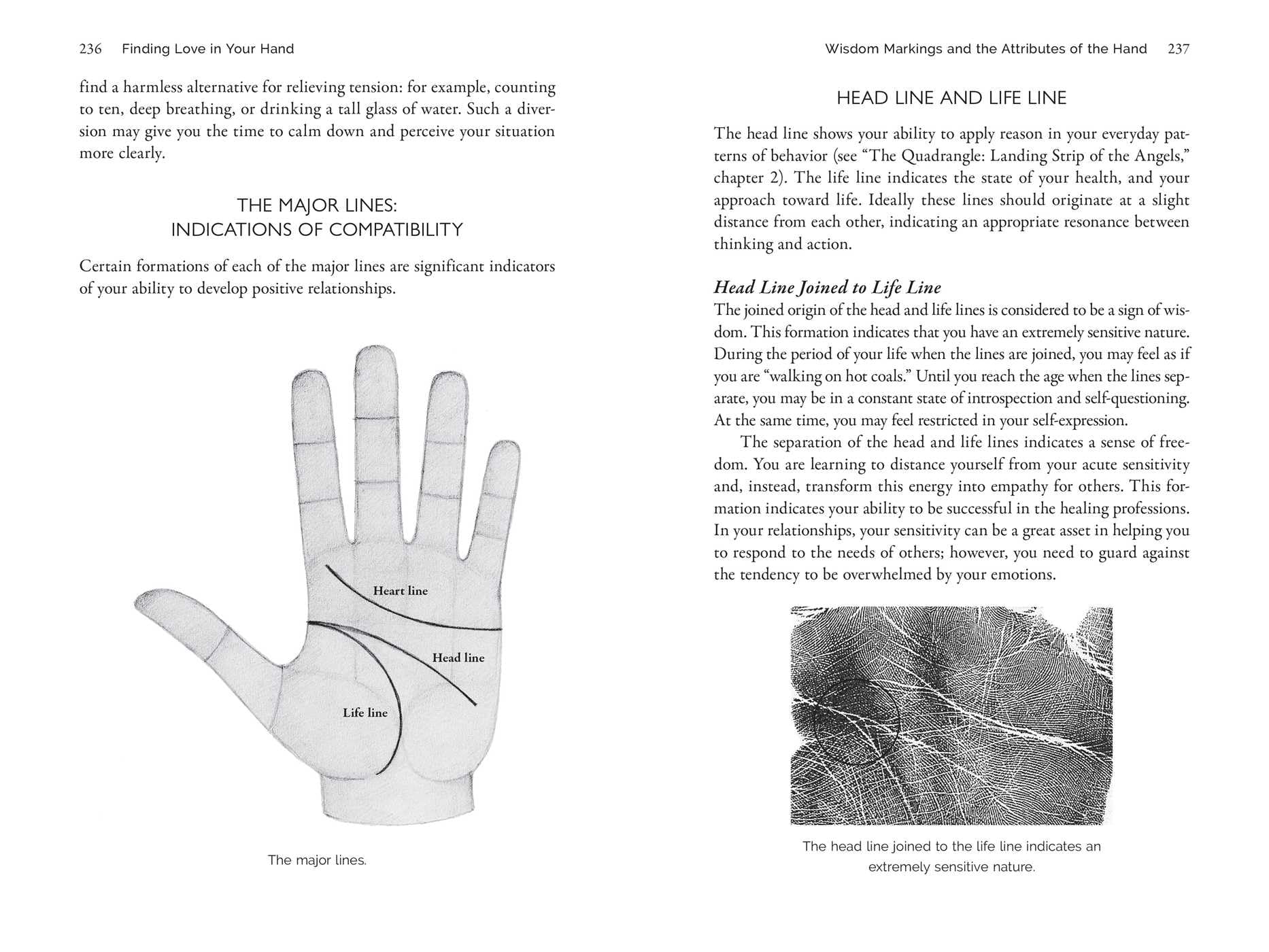 Palmistry for Love: A Guide to the Vedic Science of Compatibility