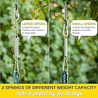 Vista 5 de YES4QUALITY Poste de coqueteo para perros, 2 postes de resorte duraderos con cuerda fuerte para perros, poste de señuelo resistente para perros