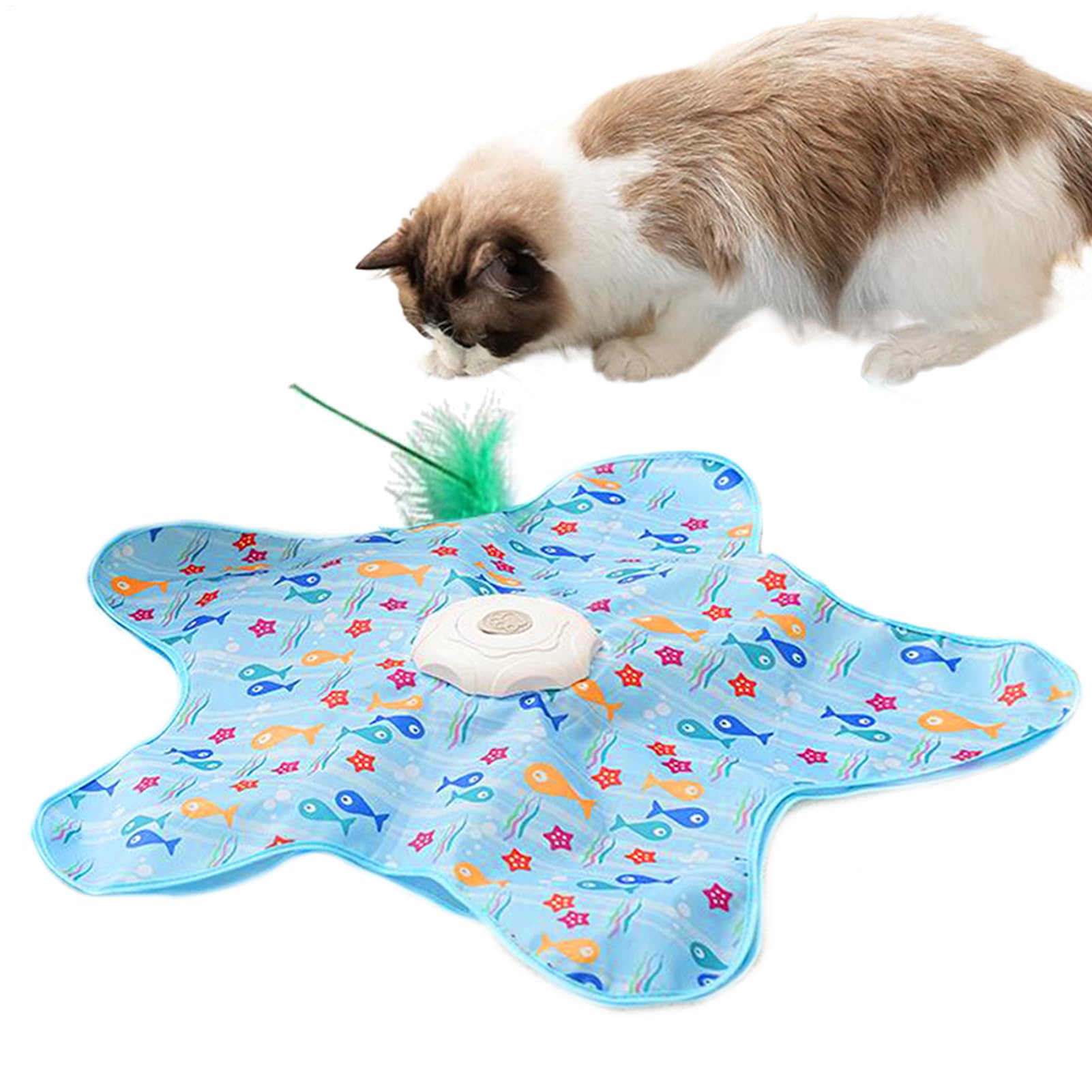Jouet pour chats intérieur d'enrichissement et d'entraînement à l'effort