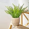 Product Photo 7