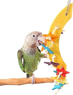 Starry Night - Medium Parrot Toy Featuring Wooden Moon and Stars