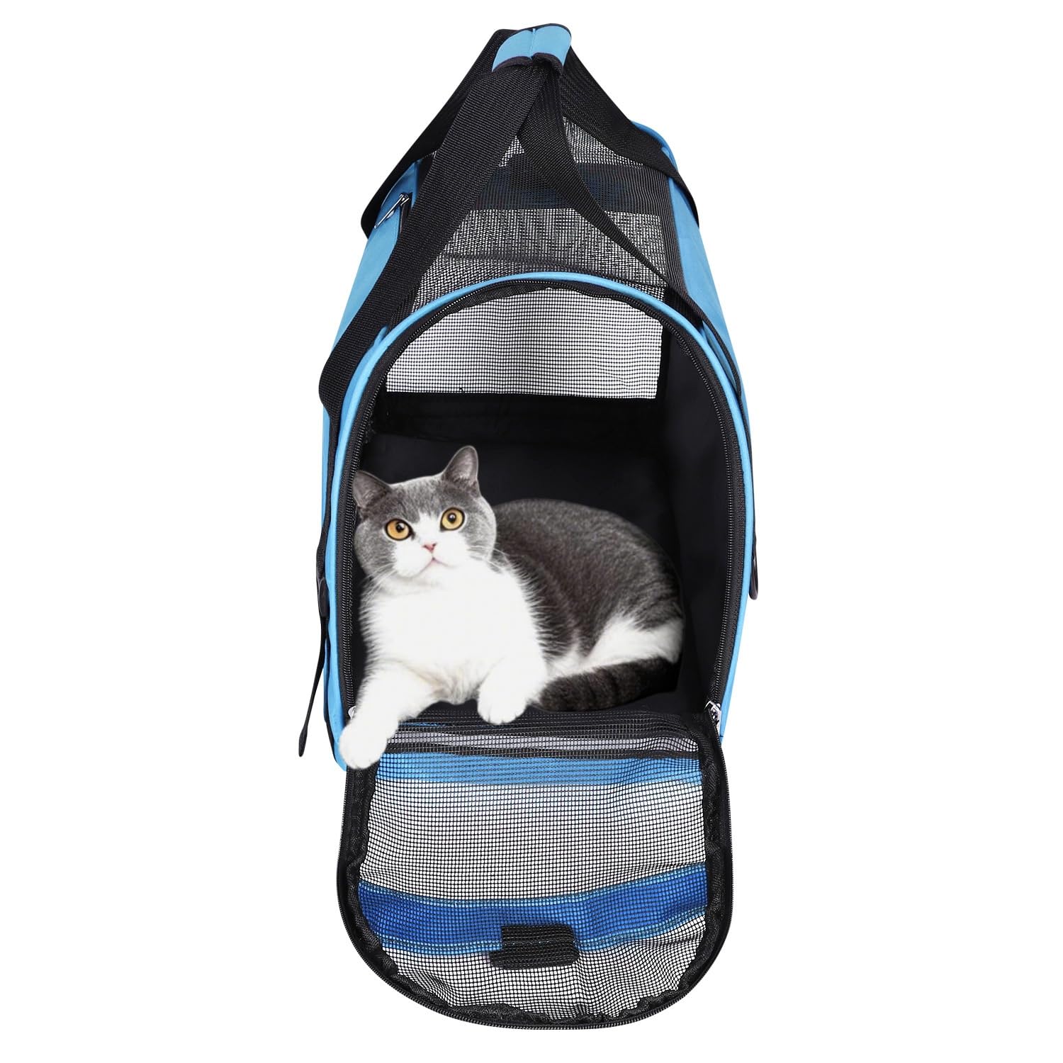 Sac de Transport Portable Chat Chien Sac à Main Résistant à l'usure pour Chaton Chiot Caisse de Transport Respirant et Pliable Sac de Voyage Réglable Animaux avec Bandoulière Voitrure Train