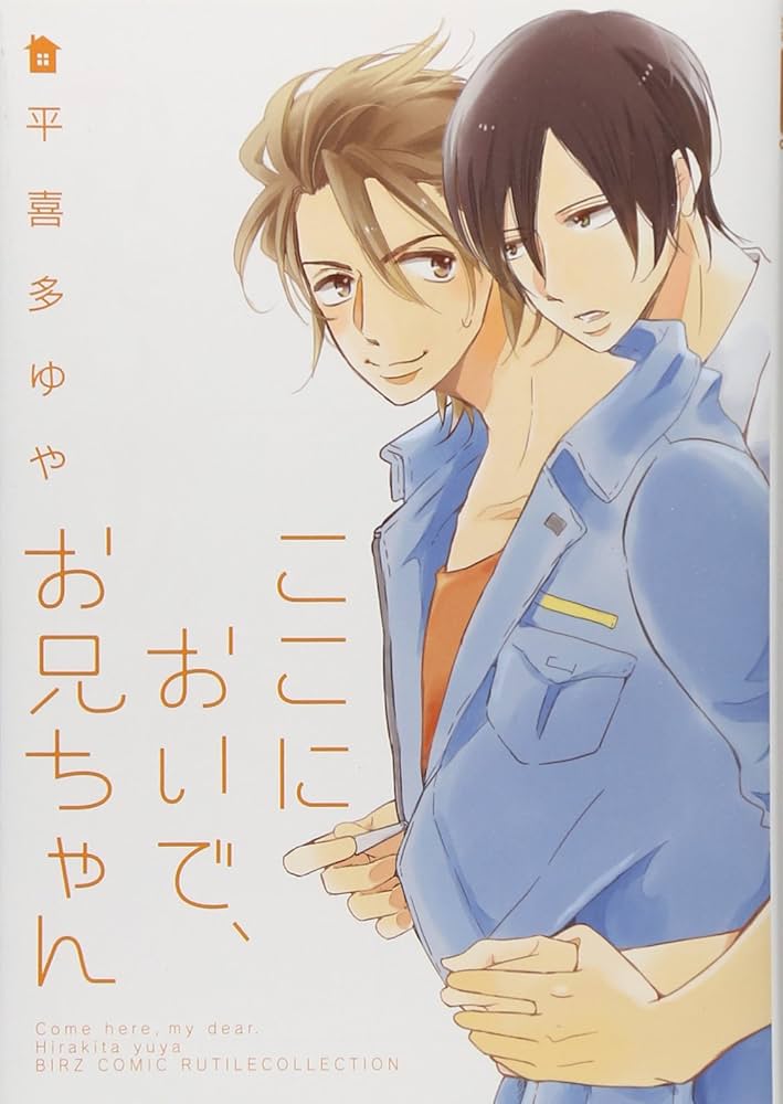 Amazon.co.jp: ここにおいで、お兄ちゃん (バーズコミックス