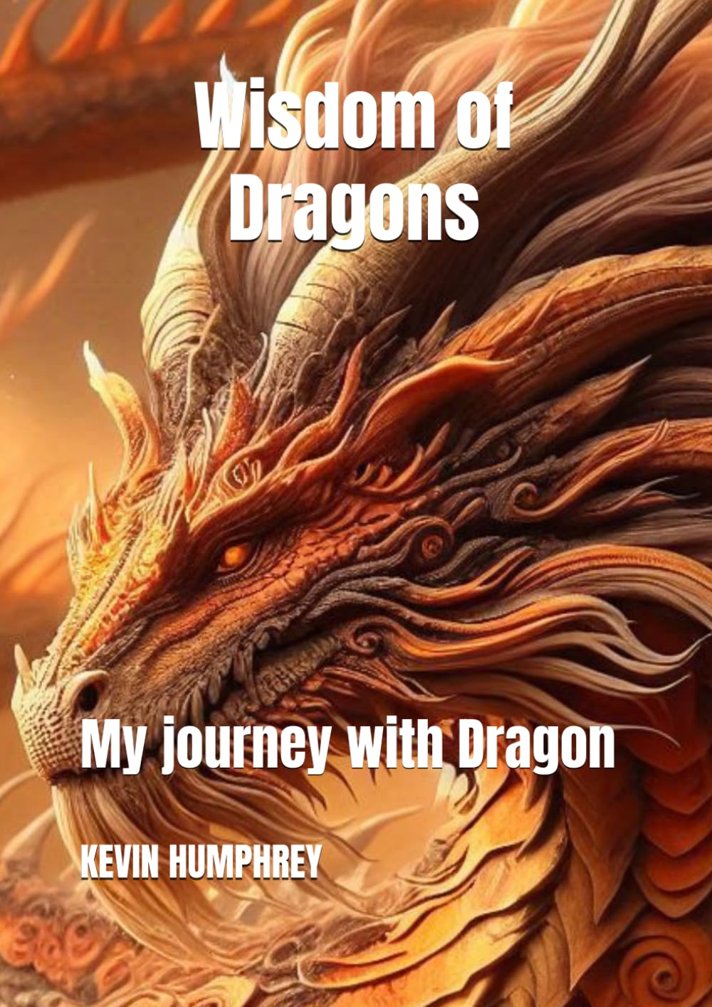 Wisdom of Dragons: My journey with Dragon
