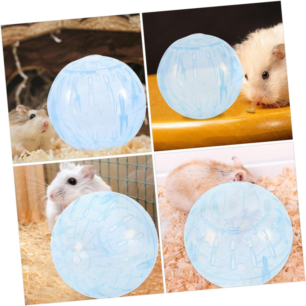 BESPORTBLE 5pcs Pet Exercise Ball Hamster Ball for Dwarf Hamster Guinea Pig Gerbil for Running Play