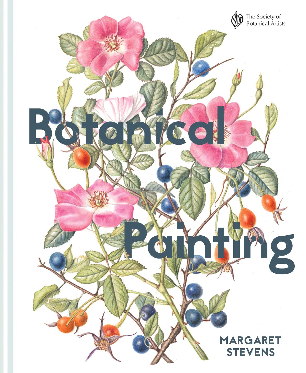 Botanical Painting with the Society of Botanical  by Margaret Stevens HARDBACK