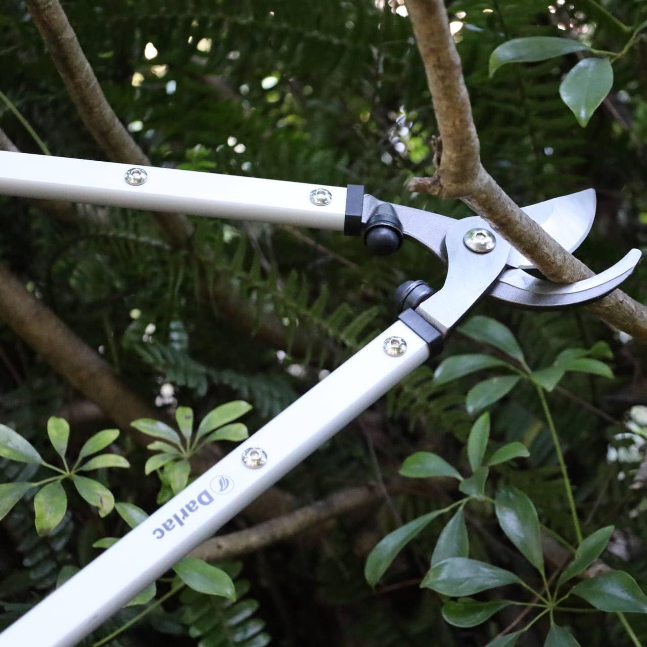 Darlac Super Pro Bypass Loppers for heavy duty pruning