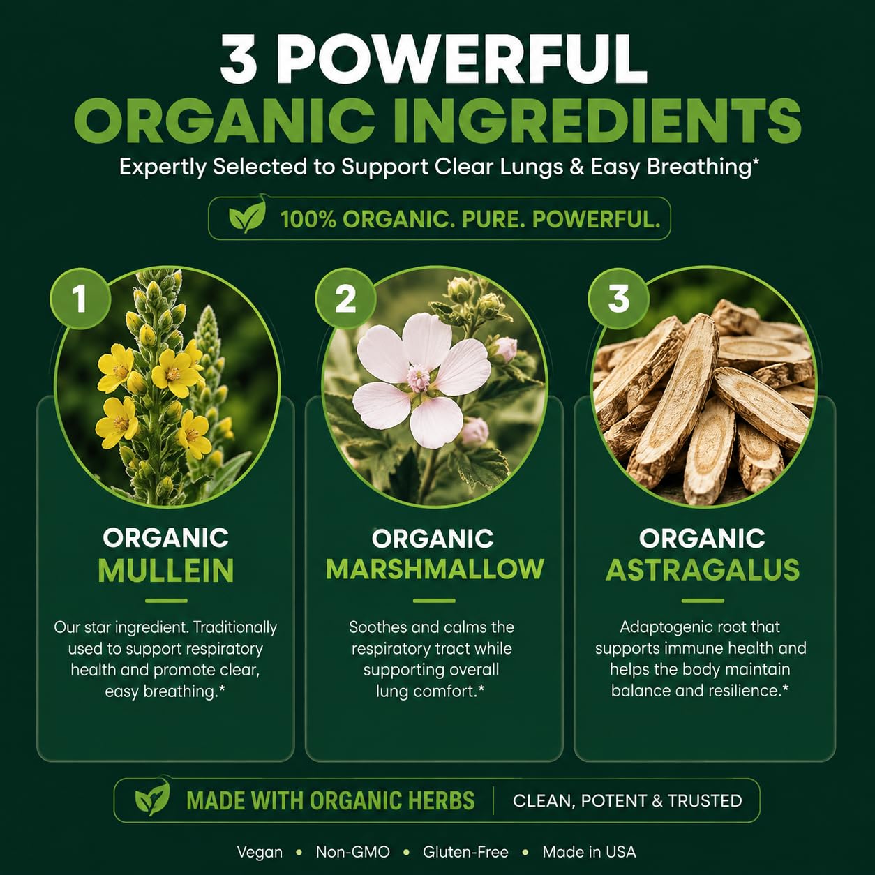 Organic Mullein Drops for Lung & Respiratory Support, USDA Organic Mullein Leaf Extract Liquid Supplement for Women & Men, Herbal Lung Health Formula, Made in USA, 2 oz — Amazon image 4