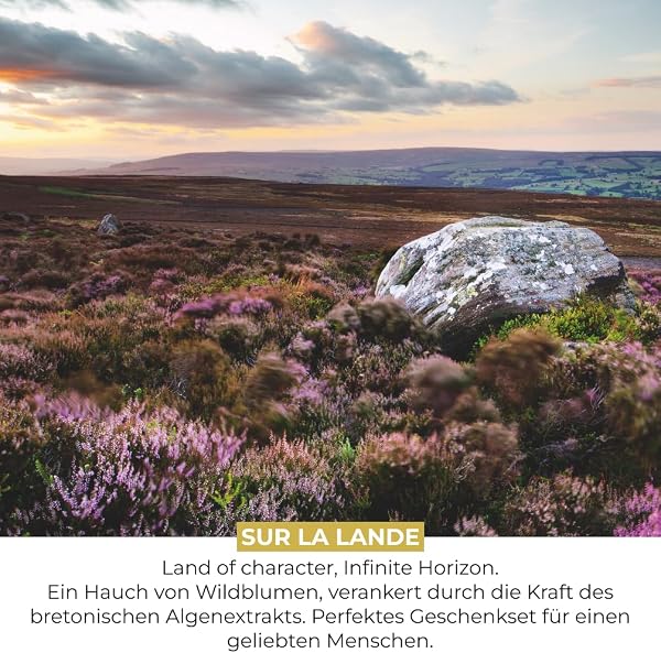 Yves Rocher PLEINES NATURES Sur La Lande – Geschenkset Parfum – Bretonische Heide mit frischen Meeresnoten – Parfum 30 ml & Festes Duft - Muttertagsgeschenk - 3