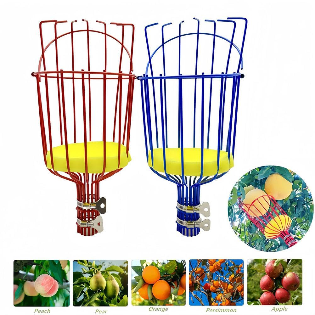 Raccoglifrutta Con Palo Lungo E Cesto - Per Mele, Pere, Raccolta Da Alberi Alti In Giardino - Foto 3