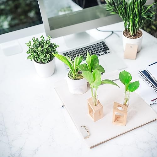 Miniatura 8 de Ivolador Estación de propagación de plantas, tubos de propagación de plantas, regalos para amantes de las plantas, soporte de corte de plantas