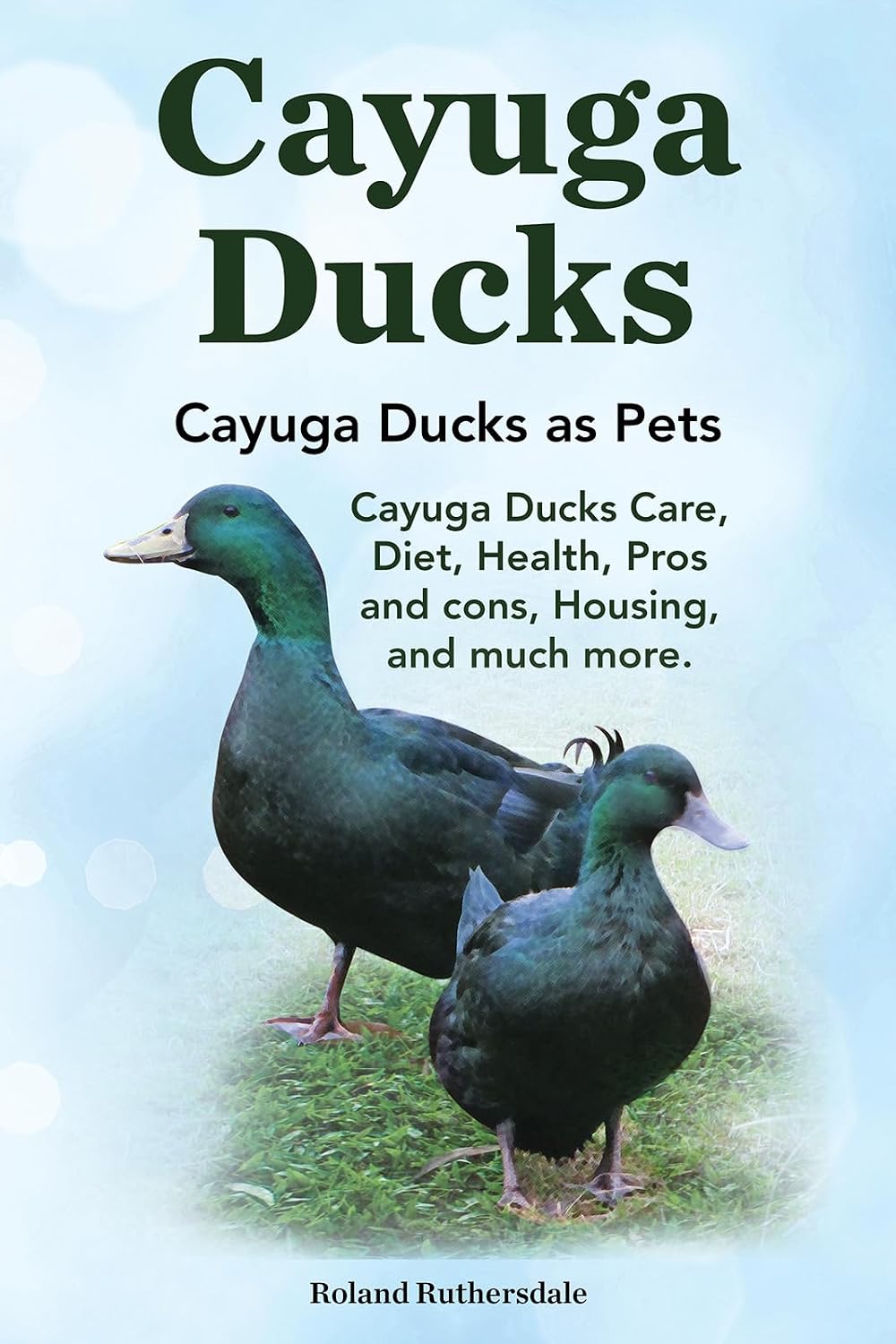 Cayuga Ducks. Kindle. Cayuga Ducks as Pets. Cayuga Ducks Care, Diet, Health, Pros and cons, Housing, and much more.: Kindle version