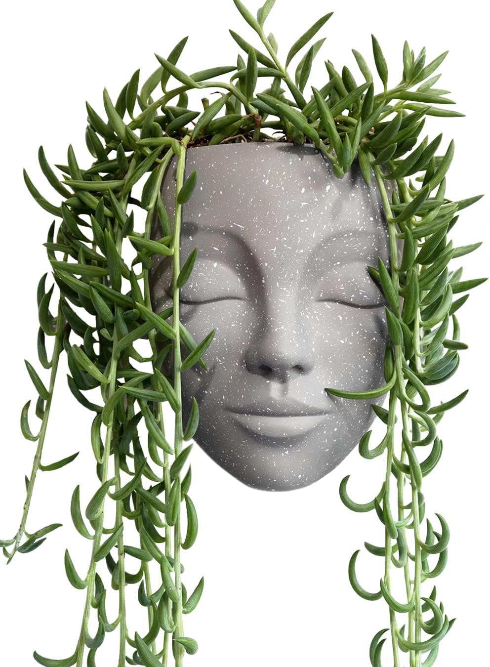 Bossa Linda Wall Planter Head Planter with Hook