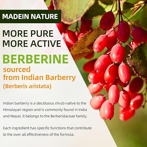 Miniatura 7 de Gomitas de berberina con canela de Ceilán, 1500 mg de berberina HCL de alta potencia, suplemento para apoyo inmunológico y metabolismo, sin azúcar,