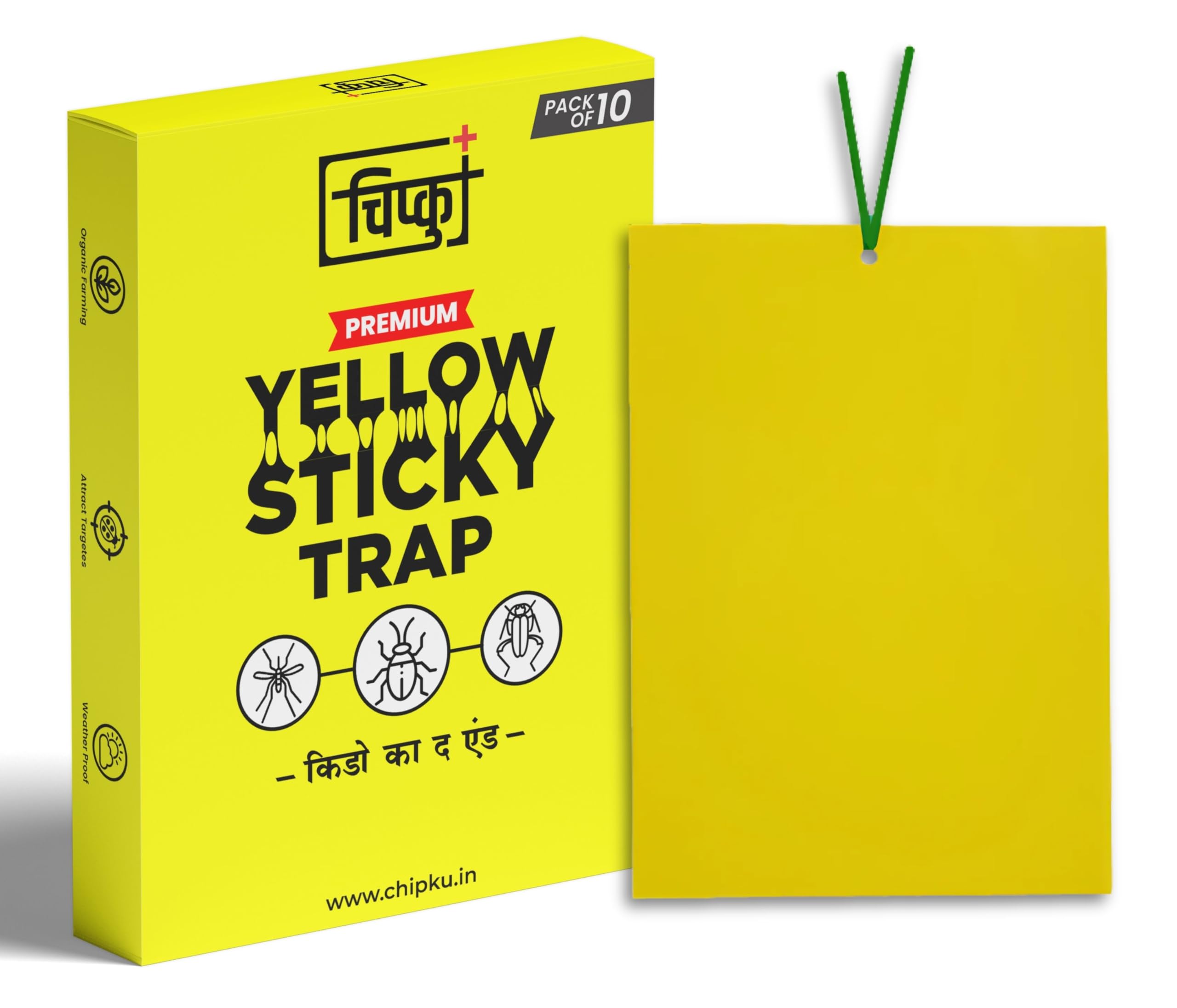Chipku A5 Yellow Sticky Insect Trap PVC Sheets – Pack of 10 Double-Sided Glue Traps for Whiteflies, Thrips, Aphids, Weatherproof, Chemical-Free, Ideal for Organic Farming & Gardening (10)-image-8