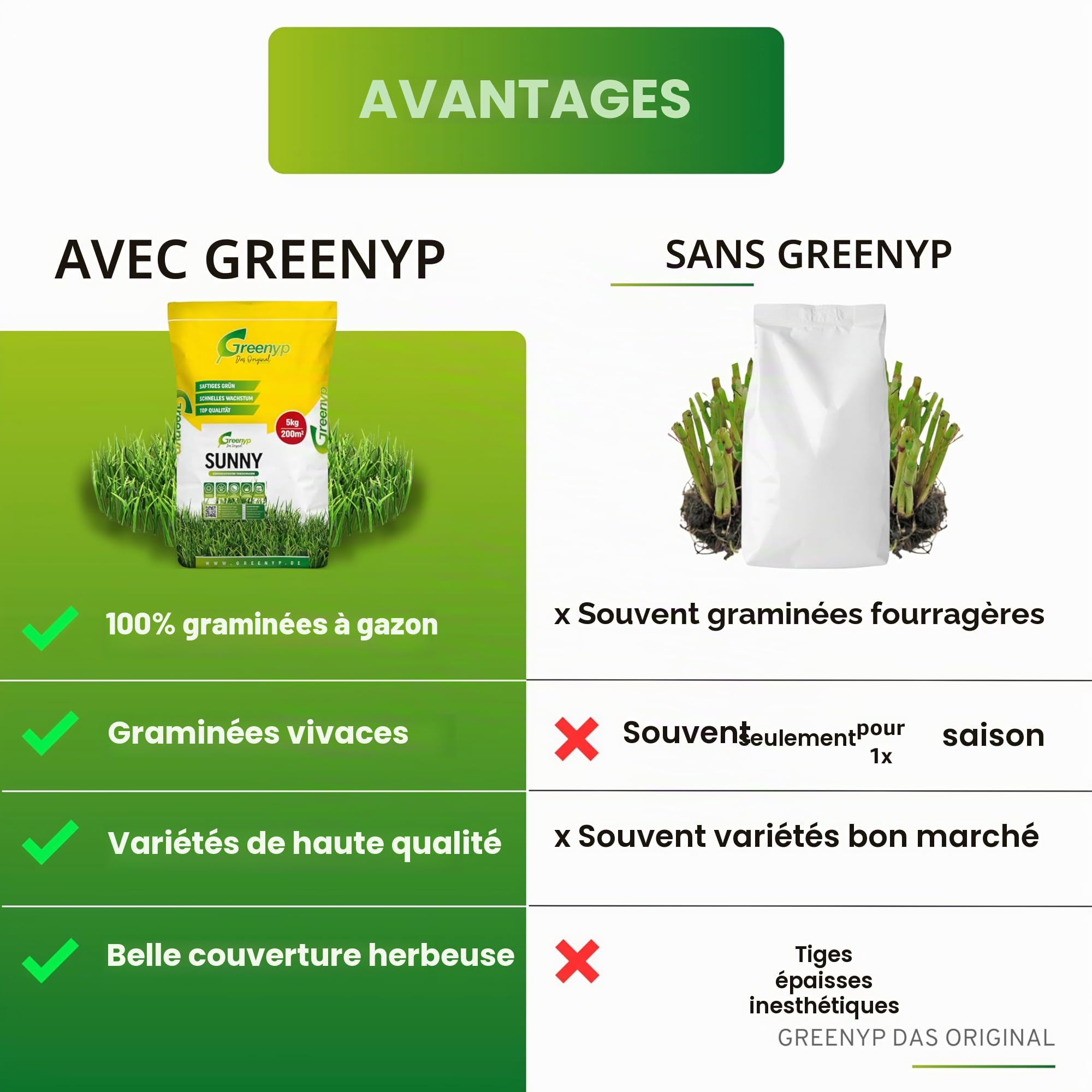 Greenyp® Sunny - Semences de gazon sec résistantes à la sécheresse - 30 kg pour 1200 m² - Semences d'herbe à germination rapide