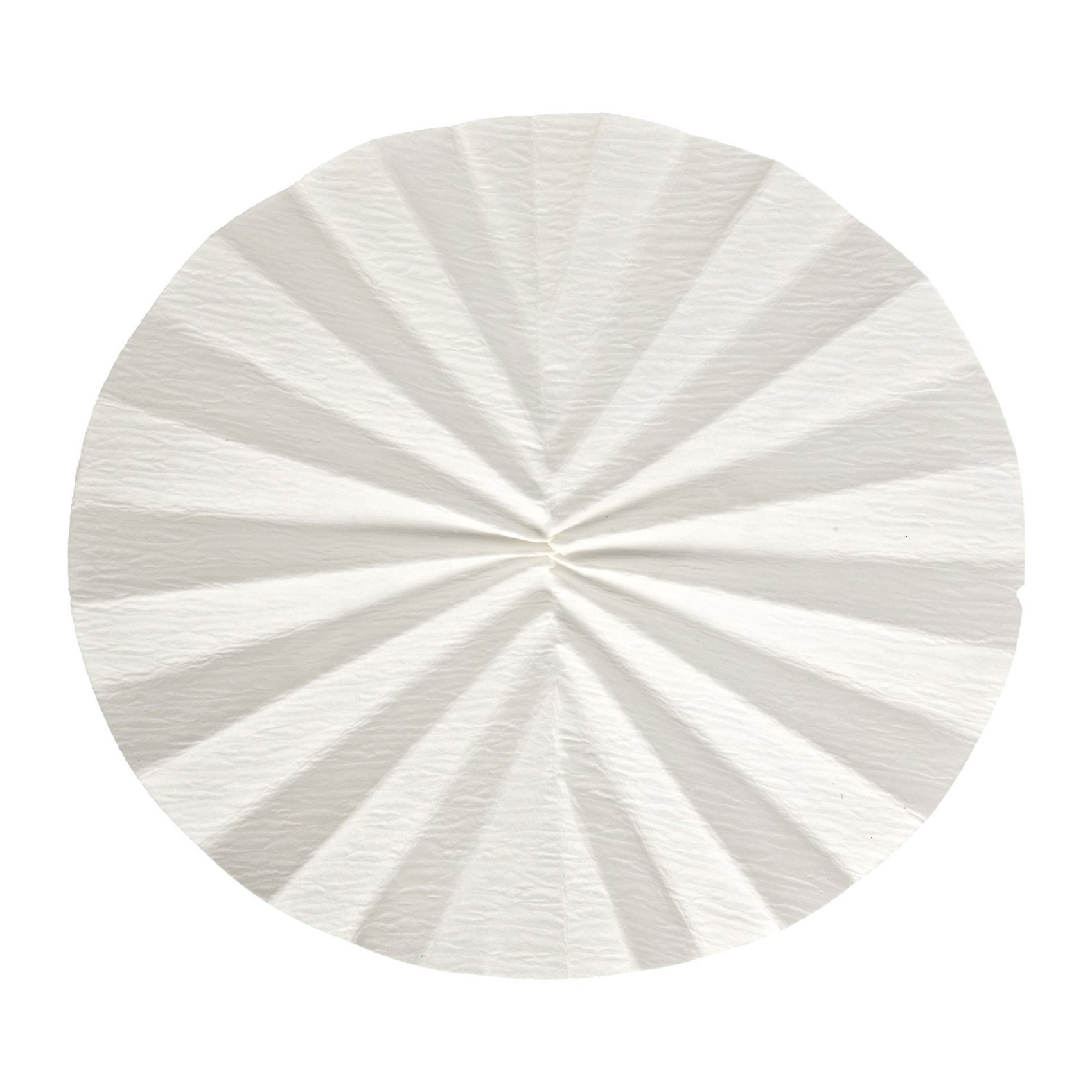 Whatman 10312256 Quantitative Folded Filter Paper, 8-10 Micron, Grade 598-1/2, 500mm Diameter (Pack of 50)