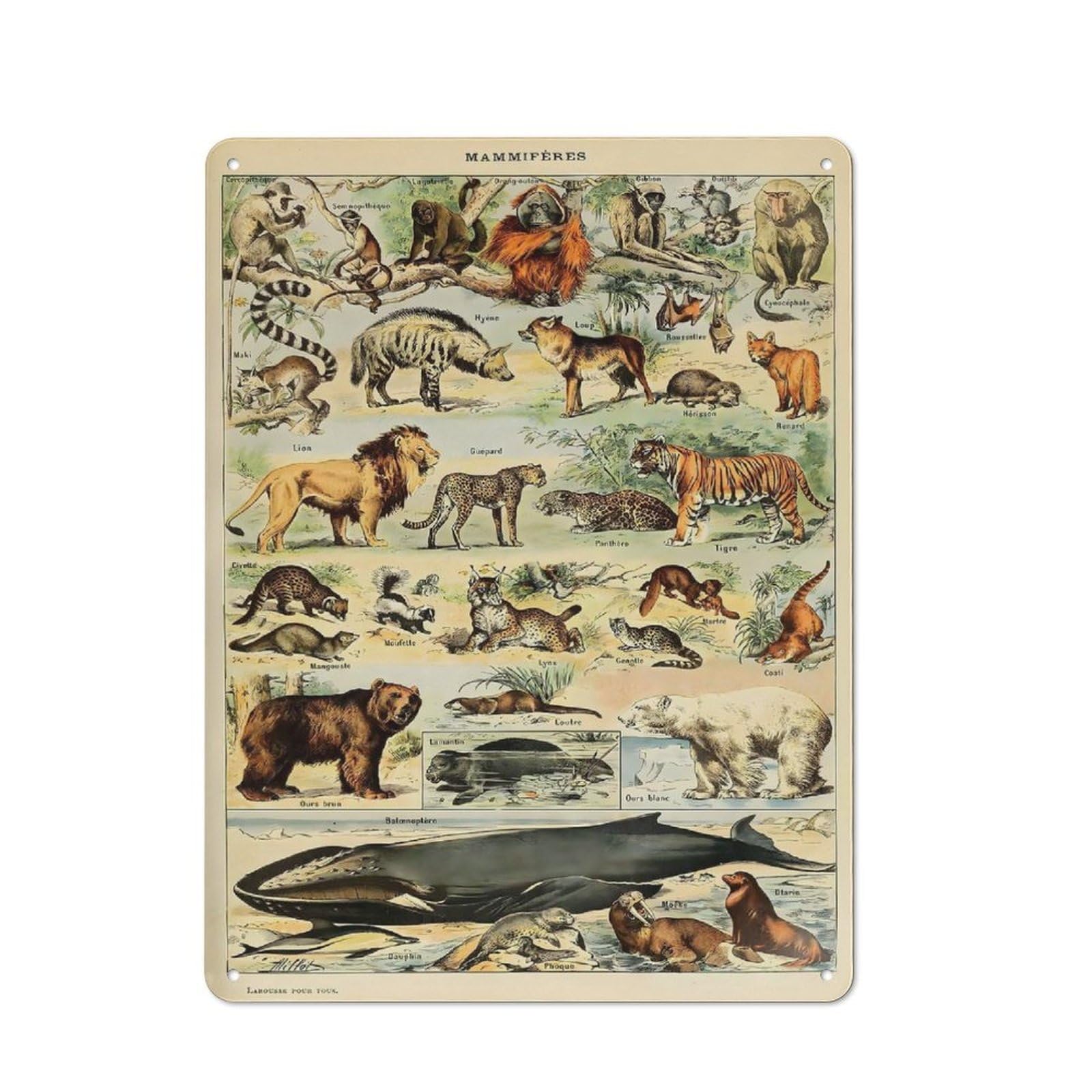 Junmoney Style-11 Adolphe Millot Mammals V2 Vintage Metal Sign 40X30cm, Shop Front Style Cafe Wall Decor For Takeaway, Bar, Kitchen Or Counter Area