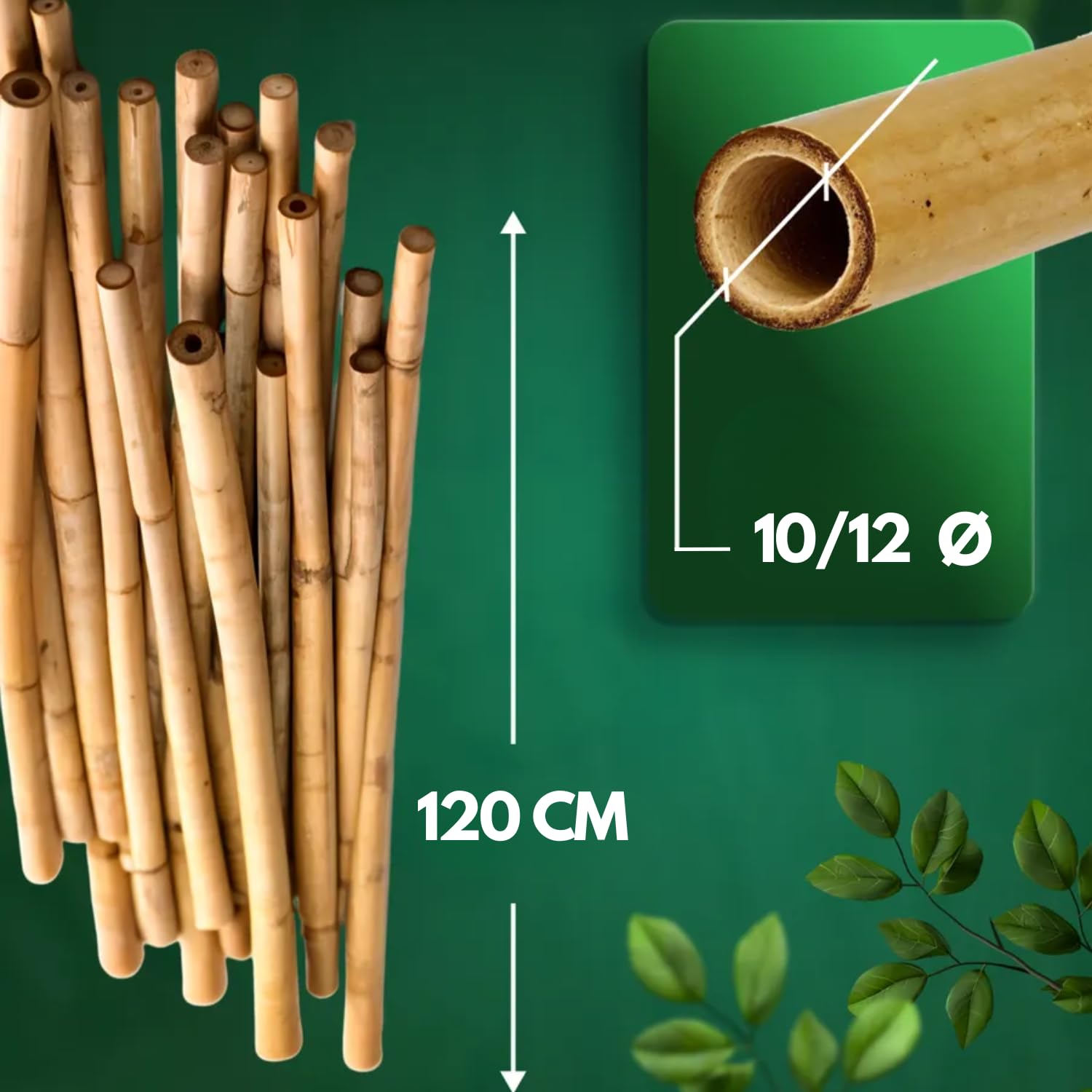 Canne Bambù Giardinaggio Naturali Set 50 Cannette 10/12 Ø x 120 cm Bastoncini Supporto Piante Orto Sostegni Tutore Pali Resistenti Rampicanti Giardino Pomodori Melanzane