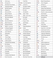 Vista 6 de Natures Good Guys - Nematodos beneficiosos Steinernema Feltiae - SF (50 millones)