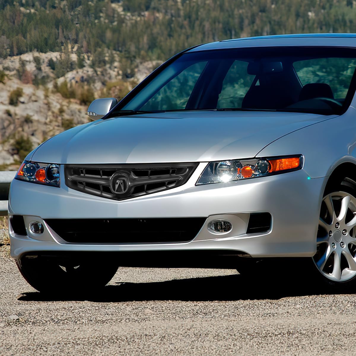 Factory Style Matte Black Front Bumper Grille Grill Assembly Compatible with 06-08 Acura TSX
