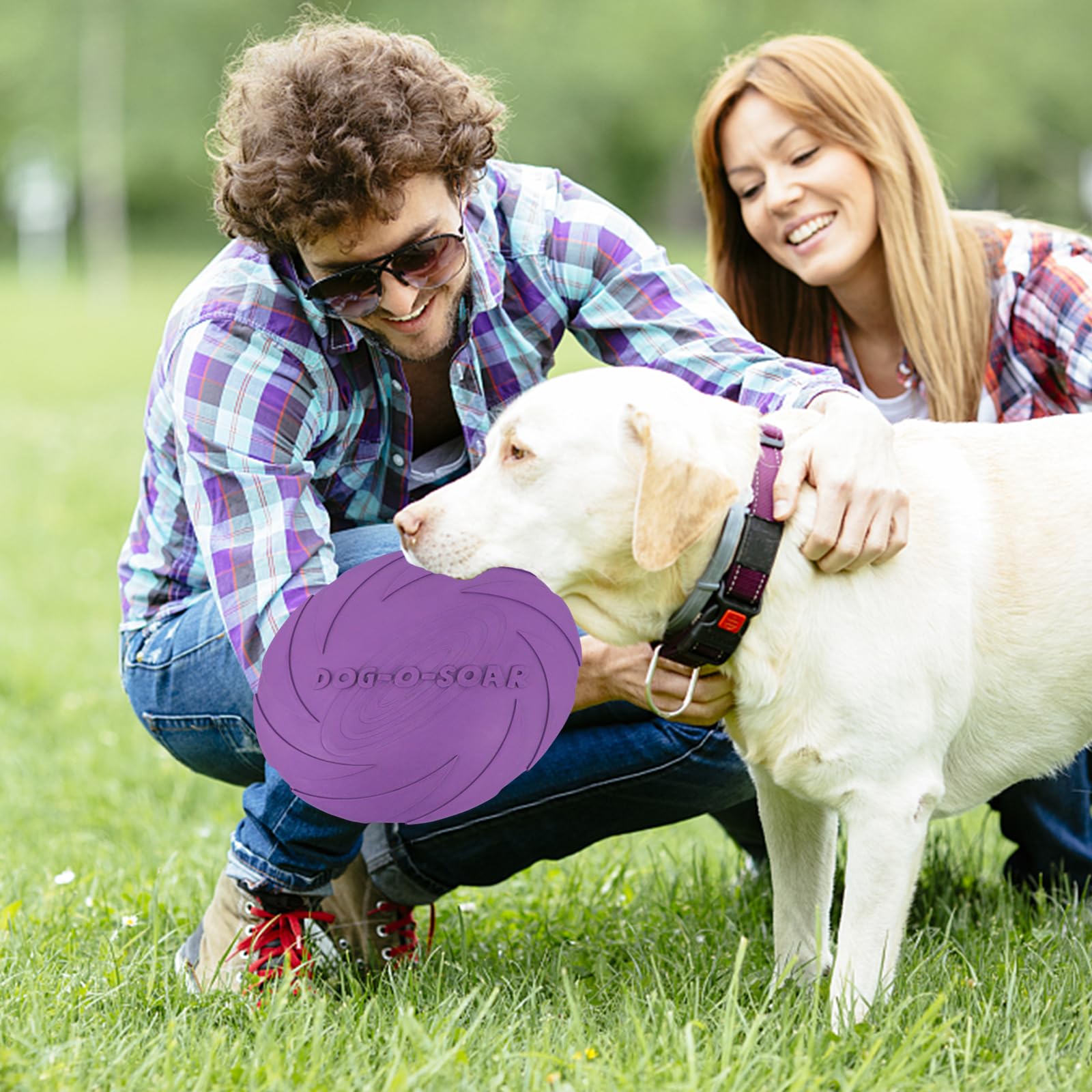 2 Frisbee In Gomma Per Cani - Giocattolo Durevole Da Esterno ø20cm - Foto 3