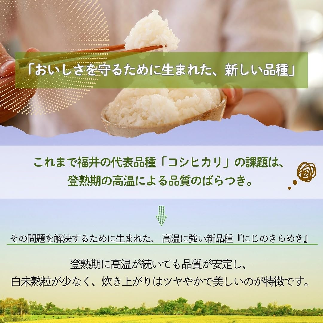 Amazon.co.jp: 米 にじのきらめき 20kg 5kg×4袋 福井県産 白米 令和7