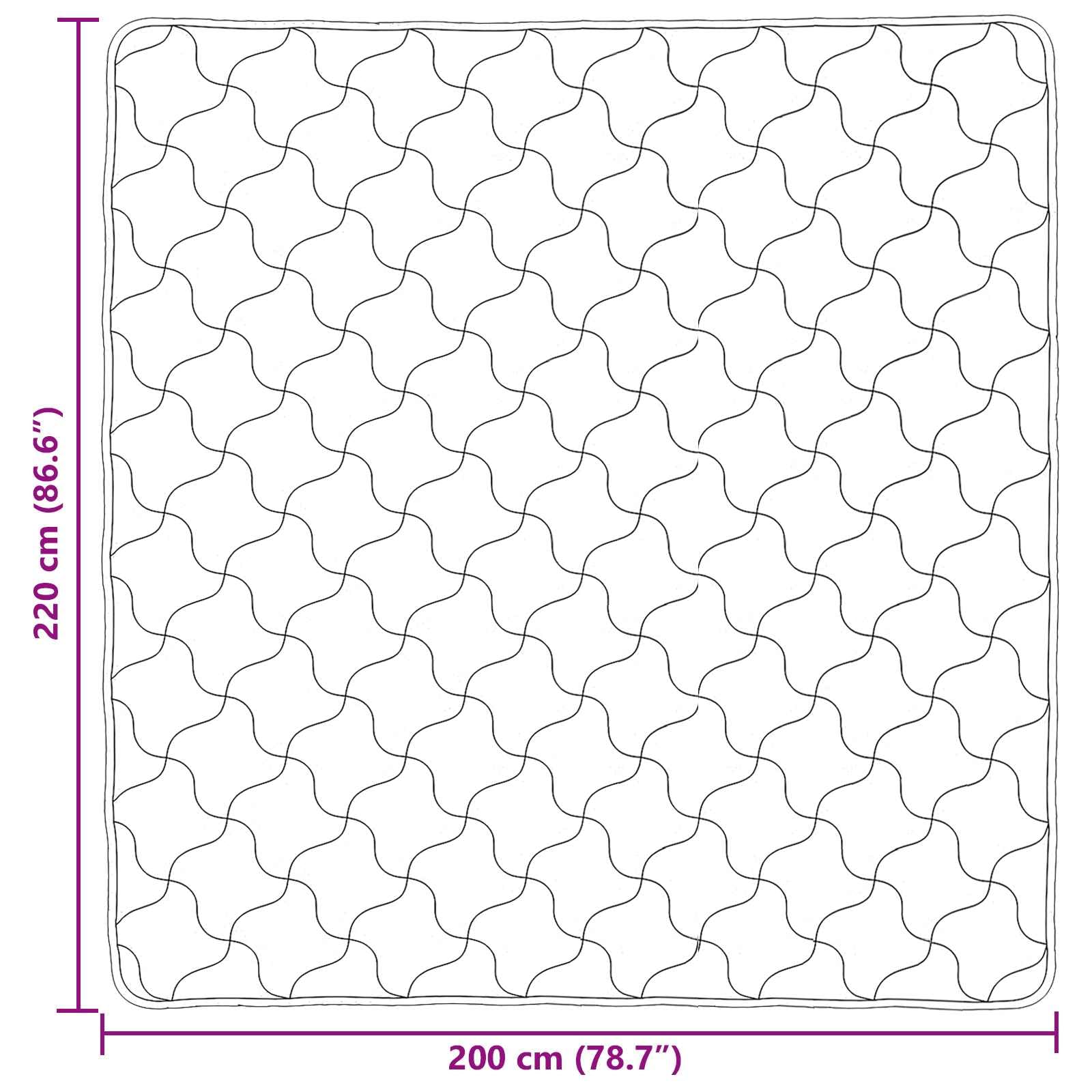 Edredón de invierno de 200 x 220 cm de microfibra y forro polar de peluche, edredón transpirable con relleno suave, manta lavable para dormitorio, habitación de invitados, hotel y camping