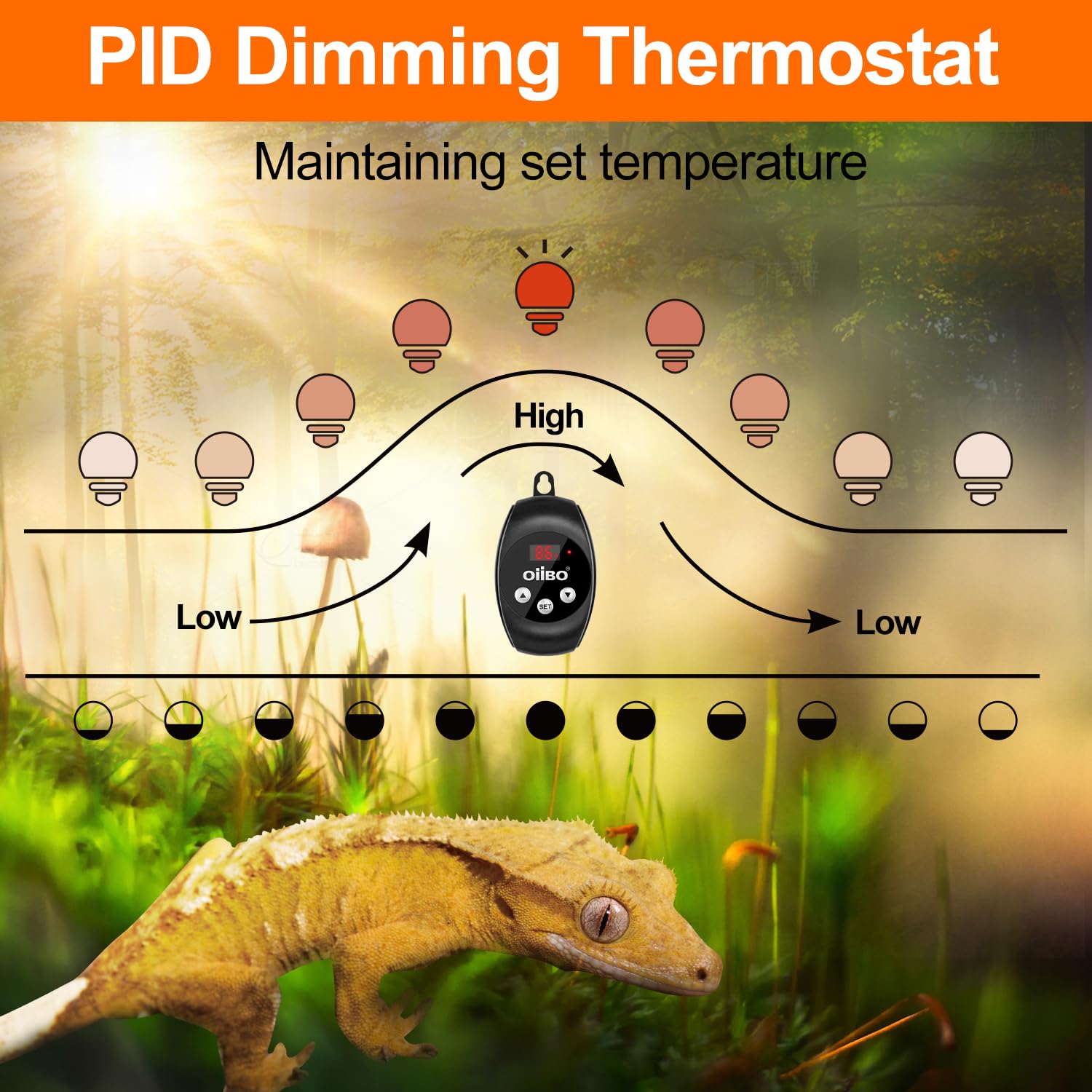 Oiibo Reptile Light Fixture with Dimming Thermostat, 8.5 Inch Dome Lamp Cap Reptile Heat Lamp Fixture,Terrariums Light Fixture for UVB Bulb Basking Heat Bulb, Max 150W - image 3