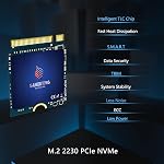 GAMERKING 256GB M.2 2230 SSD NVMe PCIe Gen 3.0X4 Interne Solid State Drive (Solid State Drive) Compatible avec Steam Deck/Microsoft Surface pro 8/pro 7+/pro X/laptop3/laptop4(M.2 2230 PCIe 256GB)