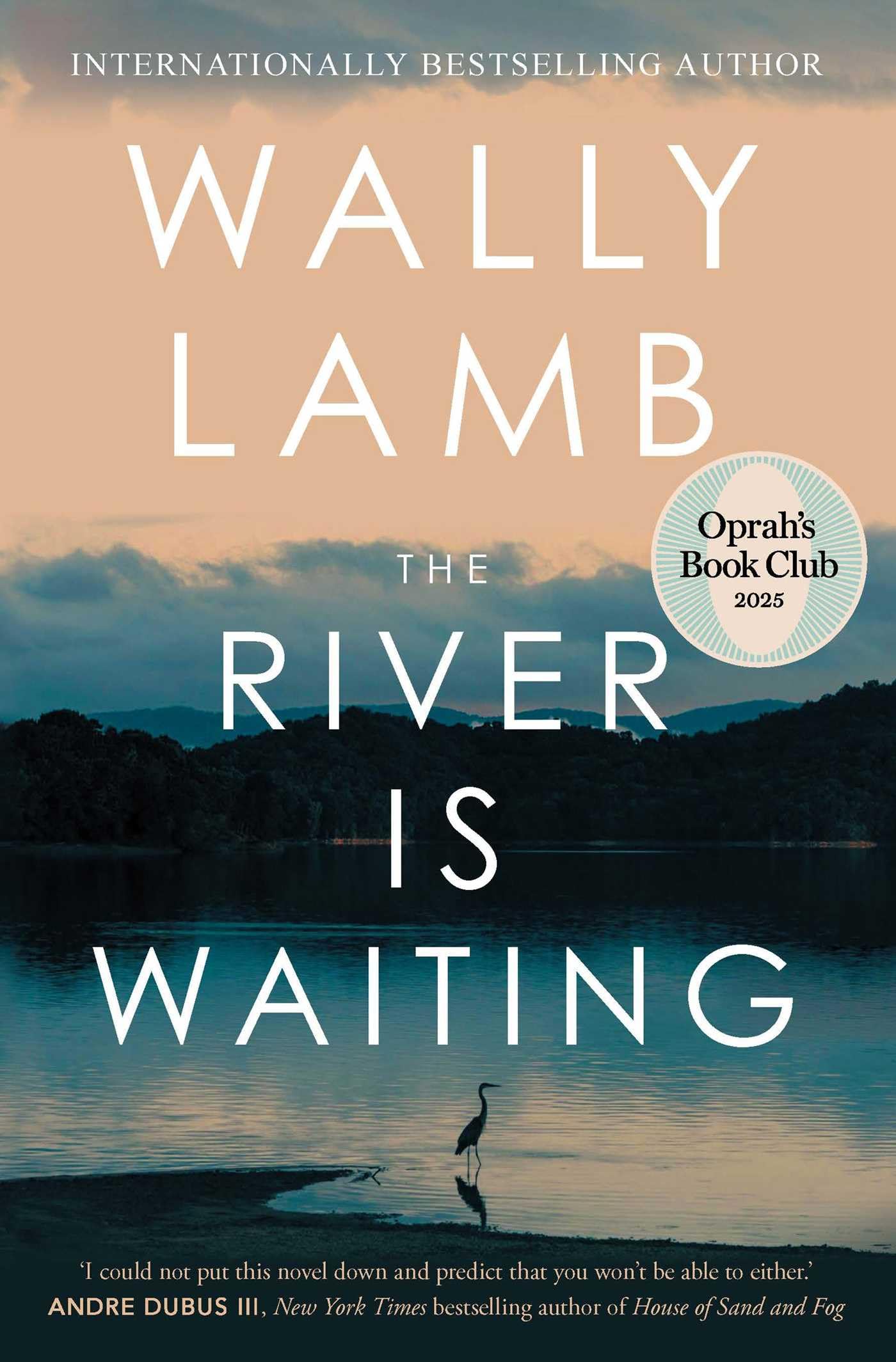 The River Is Waiting: A Novel